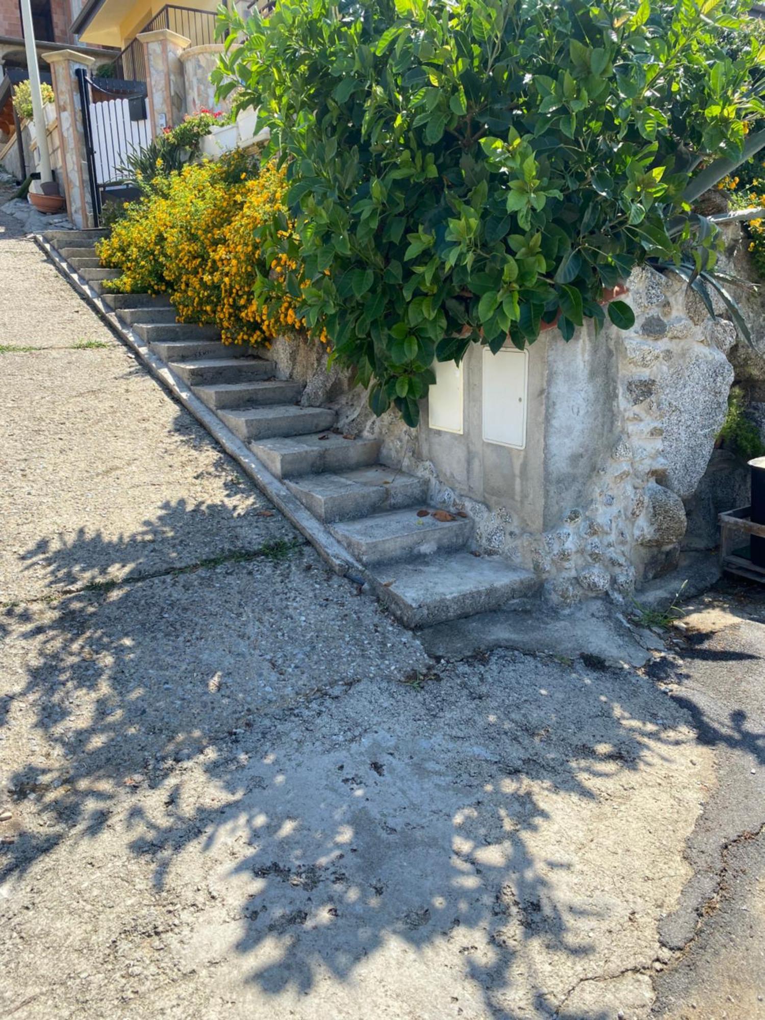 Casa Vacanze Villa Mimosa- Per Le Vacanze Vicino A Tropea Бриатико Экстерьер фото